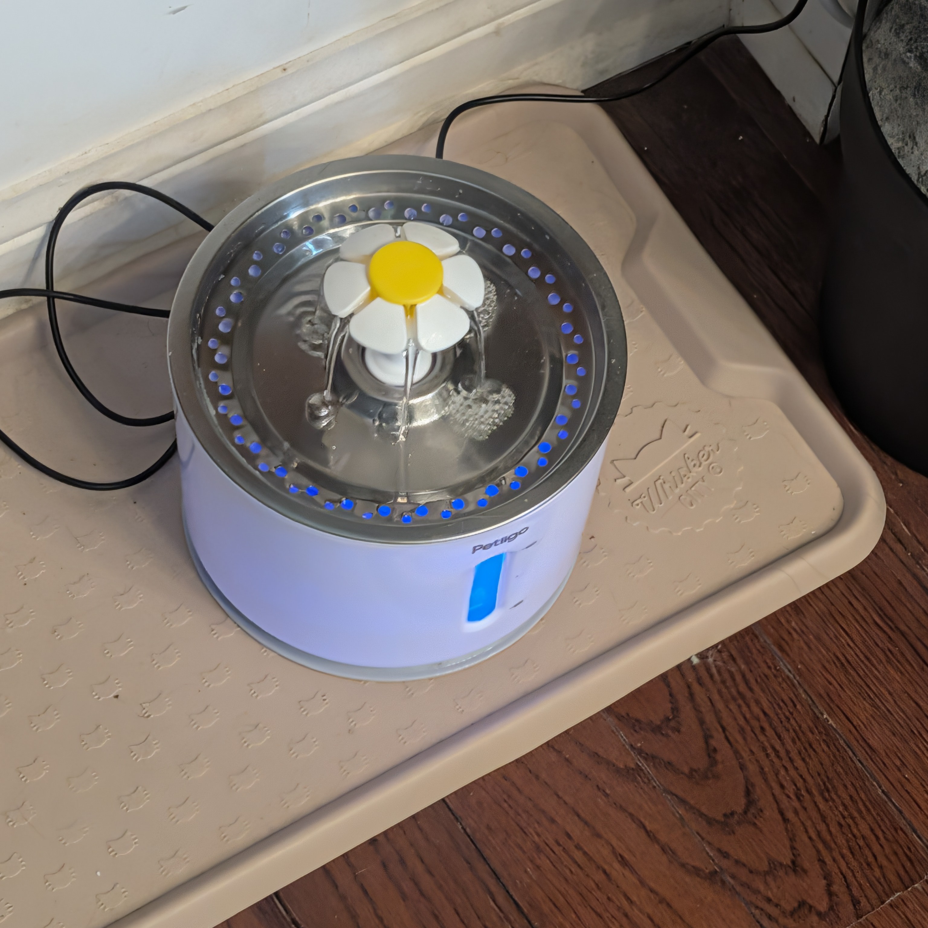 My cat's water fountain.<br><audio controls src='Noises/Cat water fountain.m4a'></audio>